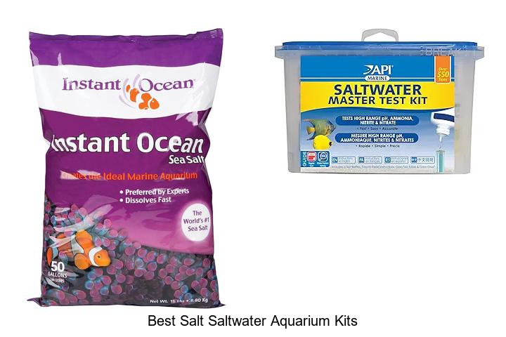 Top 12 Best Salt Saltwater Aquarium Kits You Must See