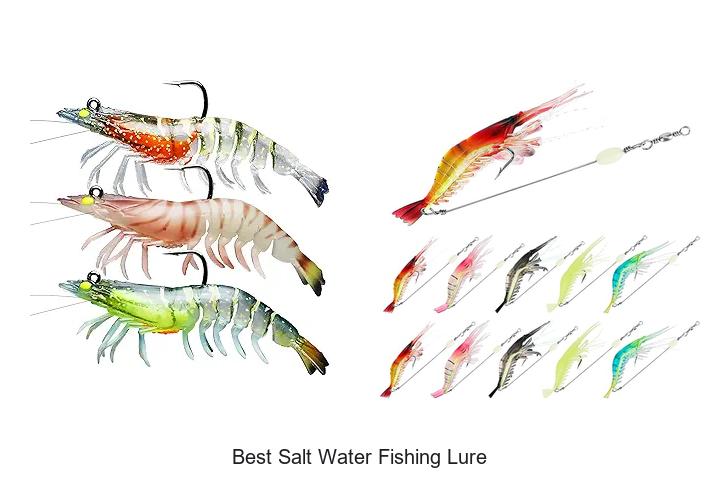 Top 13 Best Salt Water Fishing Lure That Catch Big Fish