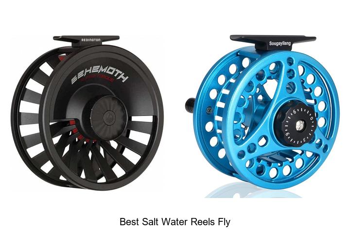 Top 12 Best Salt Water Reels Fly That Will Boost Your Catch