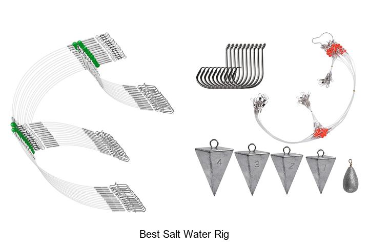 Top 12 Best Salt Water Rig for Ultimate Fishing Success