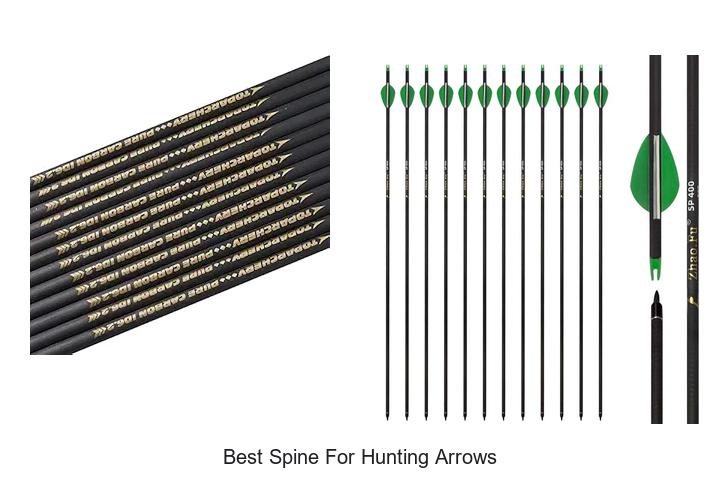 Top 12 Best Spine For Hunting Arrows That Boost Accuracy