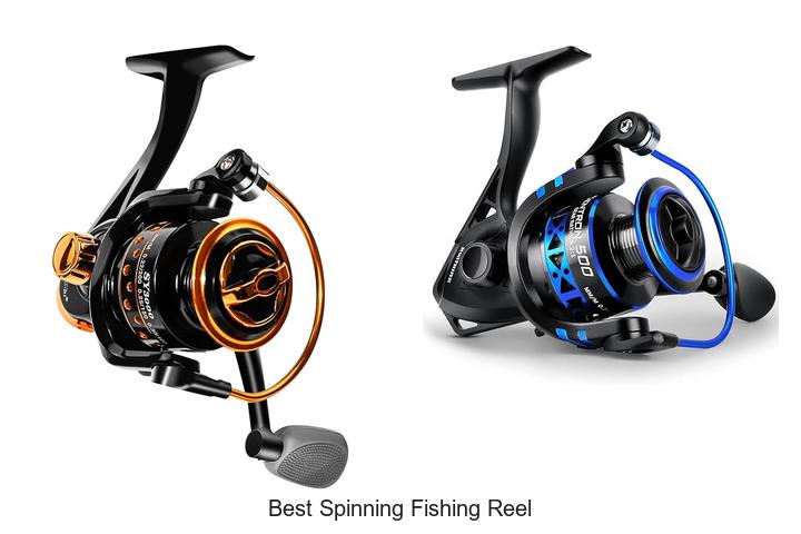 Top 15 Best Spinning Fishing Reel You Can’t Miss