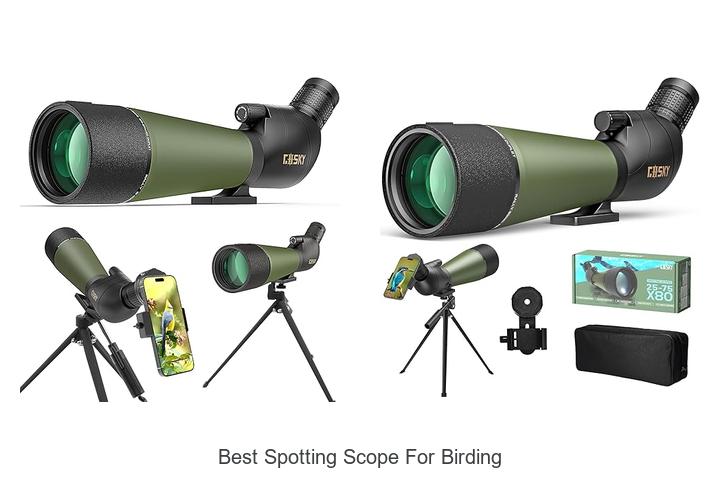 Best Spotting Scope for Birding That You Can’t Miss!