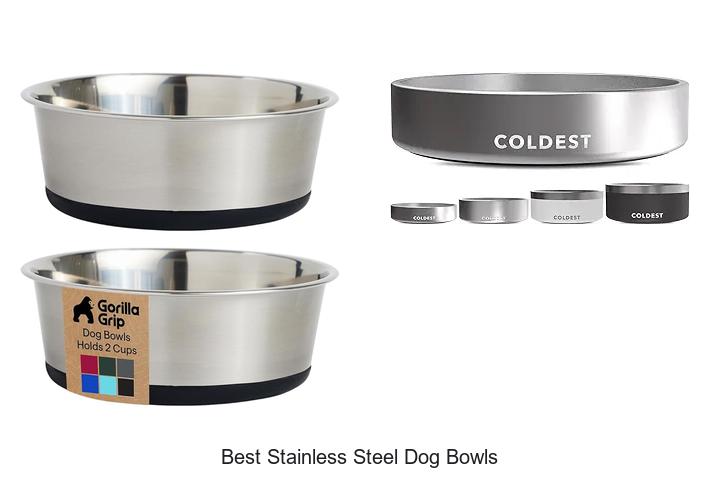 Top 12 Best Stainless Steel Dog Bowls That Last Forever