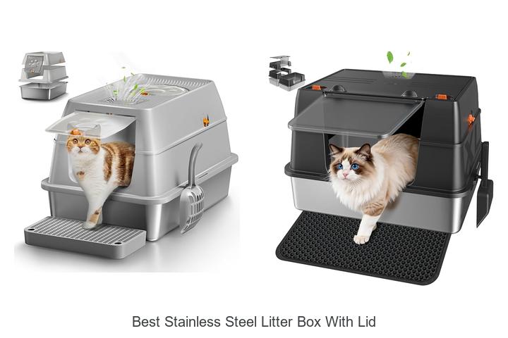 Top 15 Best Stainless Steel Litter Box With Lid You Must See