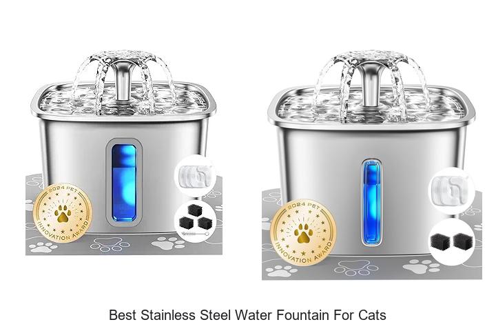 Top 15 Best Stainless Steel Water Fountain for Cats You Must See