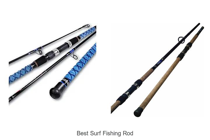 Top 13 Best Surf Fishing Rod for Ultimate Catch