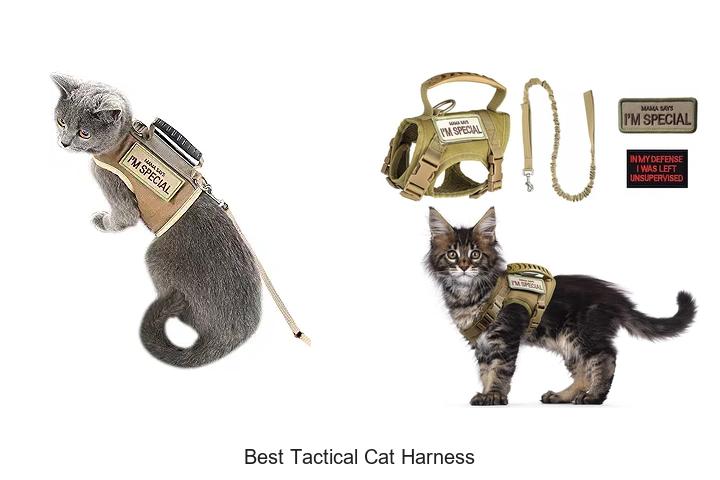 Top 12 Best Tactical Cat Harness That Will Blow Your Mind