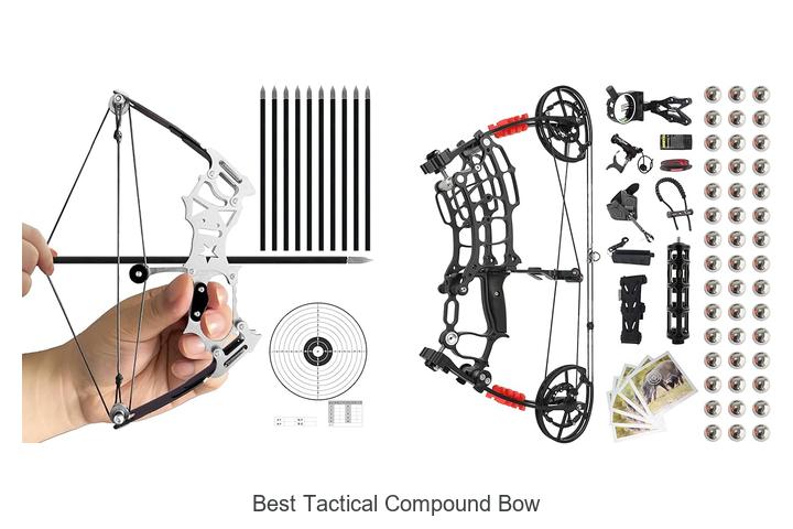 Best Tactical Compound Bow That Will Transform Your Aim!