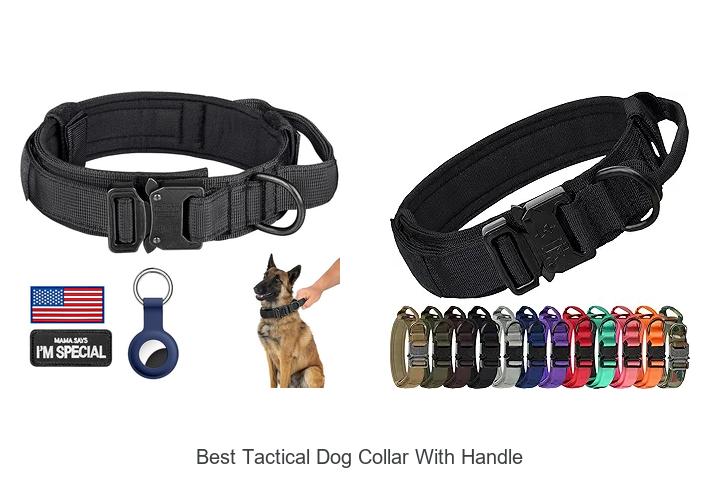 Top 12 Best Tactical Dog Collar With Handle You Need Now