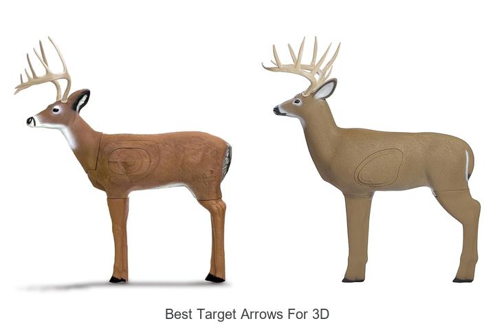 Best Target Arrows For 3D That Will Boost Your Accuracy!