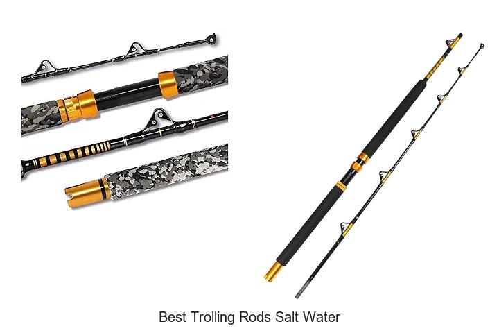 Top 15 Best Trolling Rods Salt Water You Can’t Miss