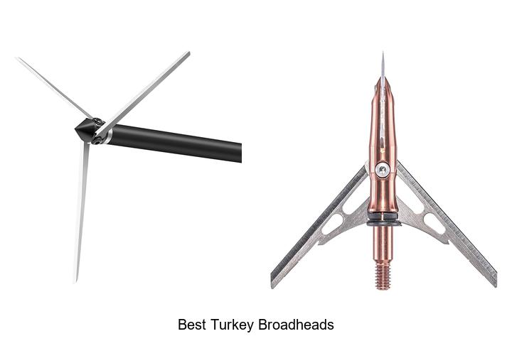 Best Turkey Broadheads That Will Transform Your Hunt Today