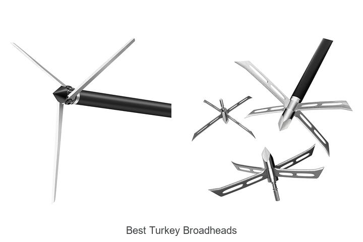 Best Turkey Broadheads That Will Transform Your Hunt!