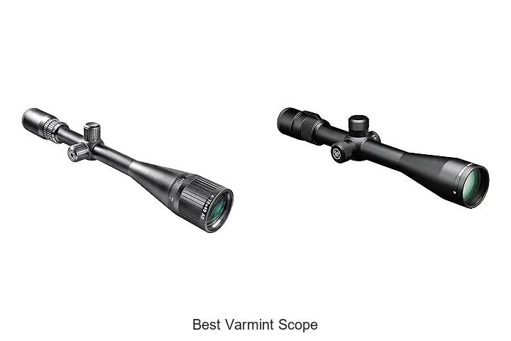 Top 12 Best Varmint Scope That Hunters Swear By!