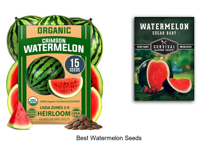Top 12 Best Watermelon Seeds You Must Try Today